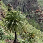 Live Masca Casa Tarucho Βίλα Buenavista Del Norte